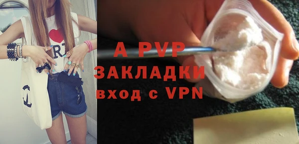 ECSTASY Костерёво