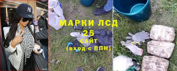 ECSTASY Костерёво