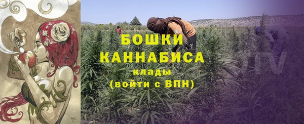 ECSTASY Костерёво